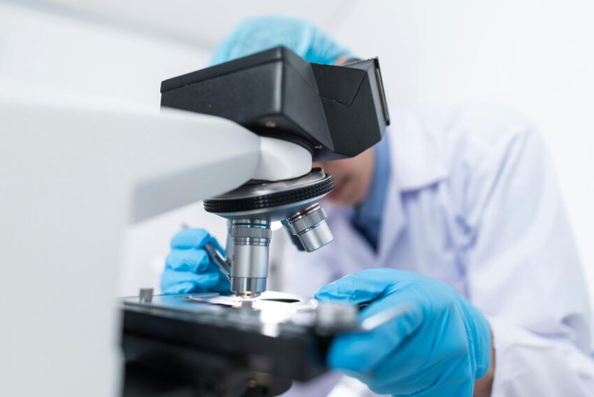 healthy erections science explained
